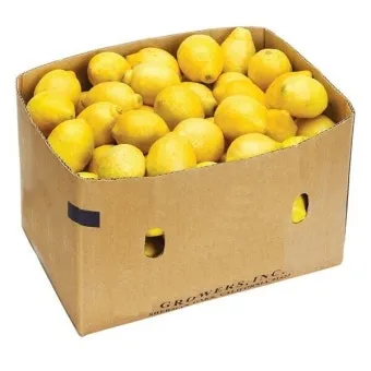 레몬(수입)140과 18kg 박스