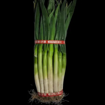 프레시원 대파(단_대_900g~1kg_국내산) 1kg