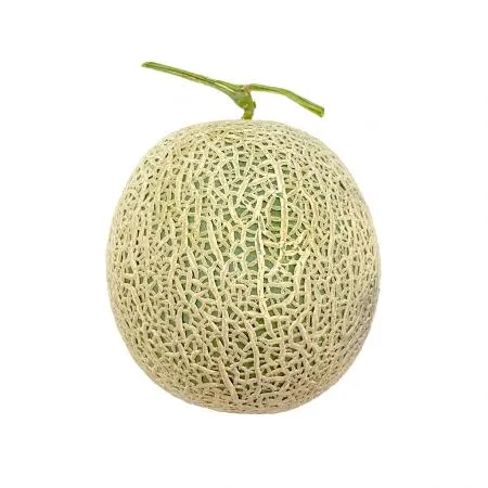 멜론 1통 (약 1.5kg 내외)(소)
