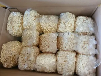 팽이버섯(병팽이_14입) 5kg [BOX]