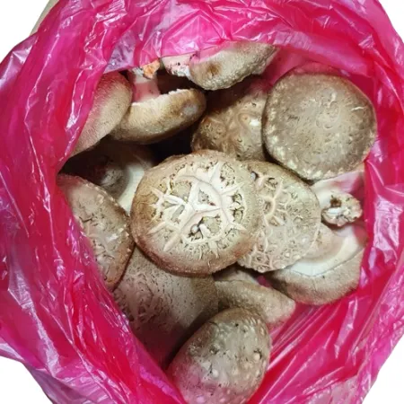 표고버섯(국내산파지) 1kg [봉]