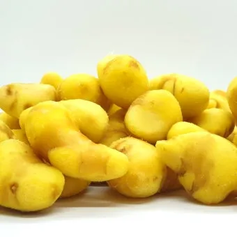 깐생강 약 1kg [봉]
