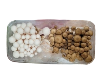 만가닥버섯 혼합 320g내외 (5입) [BOX]