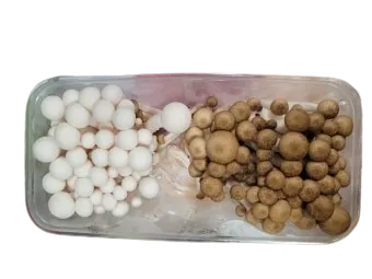 만가닥버섯 혼합 320g내외 (5입)_[BOX]