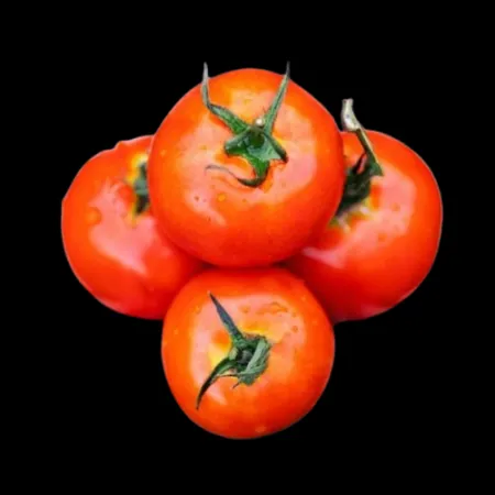 완숙토마토(1번) 1kg [팩]