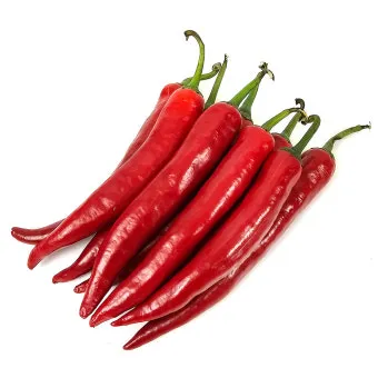 홍고추 약 150g [봉]
