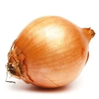 양파(국내산) 1kg[망] 이미지