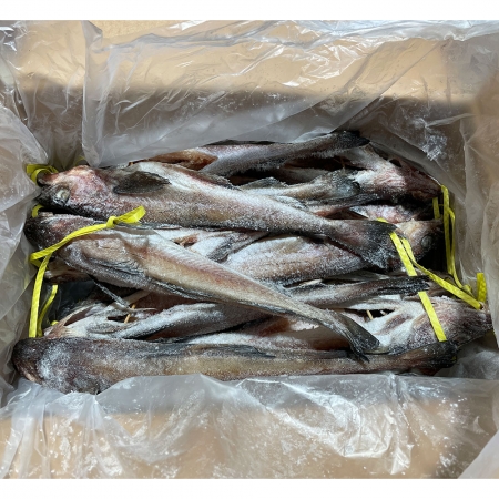 코다리(4미 10코 러시아산) 15kg 냉동