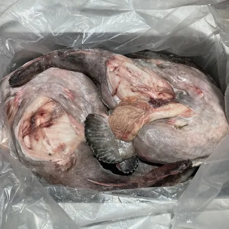 아귀(절단 8미 중국산) 10kg 냉동