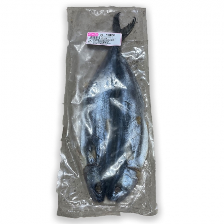 삼치(특대 국내산) 500g 냉동
