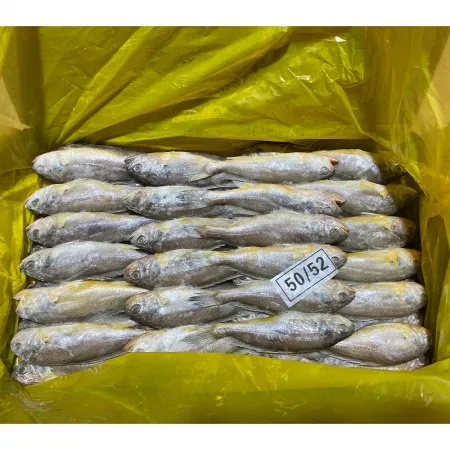 참조기(50~54미 60~70g/마리 중국산) 3.5kg 냉동