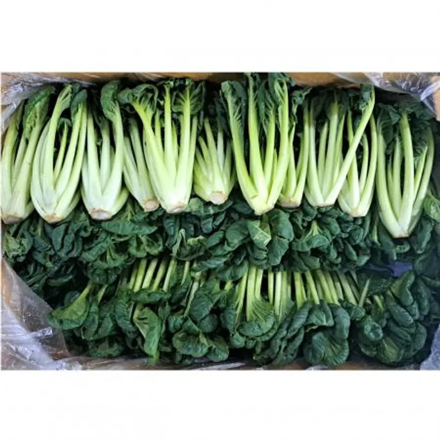 비타민(국내산)2kg/BOX 이미지