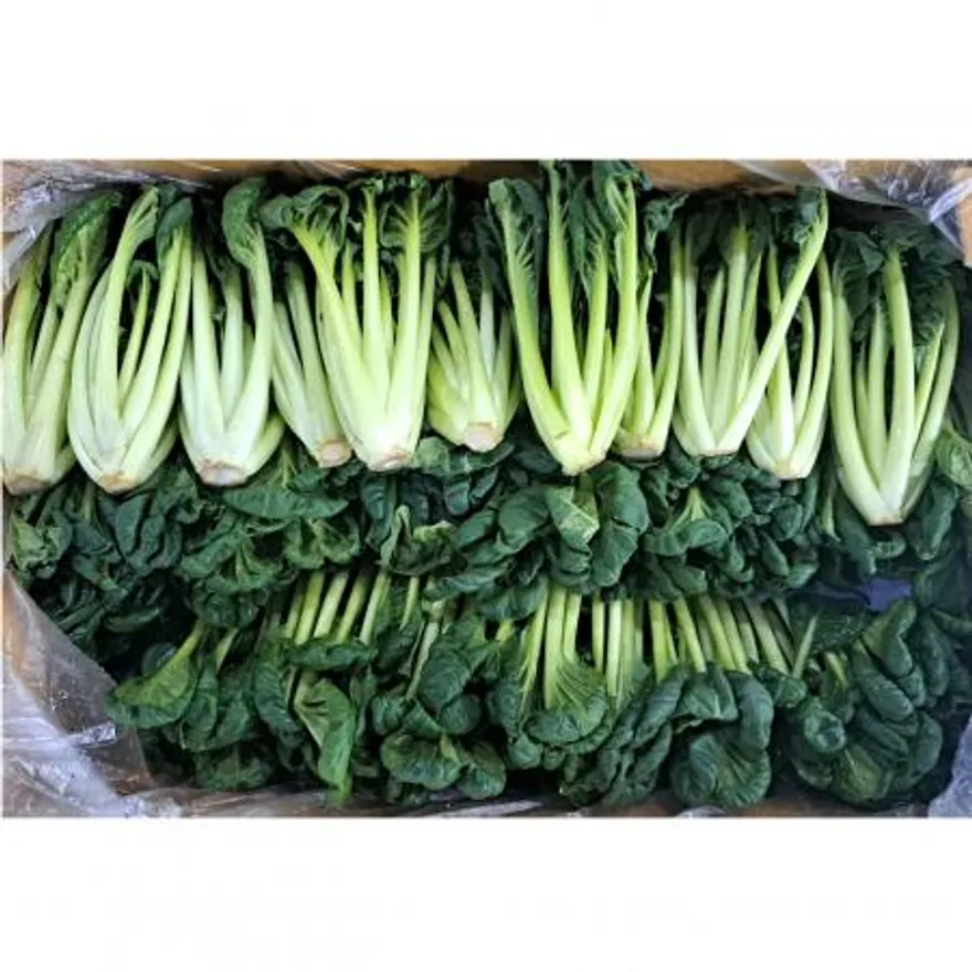비타민(국내산)2kg/BOX 이미지