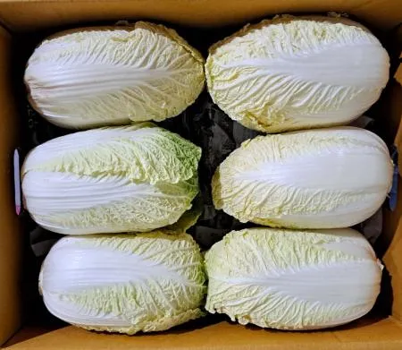 알배기(국내산)상 6kg/BOX