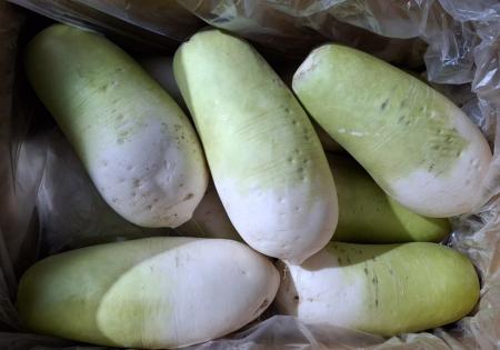 세척 무 10~12수 18kg/박스 (국내산) 제주 무우