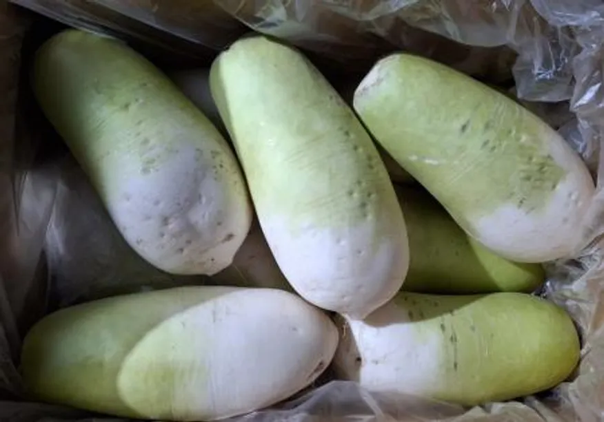 세척 무 10~12수 18kg/박스 (국내산) 제주 무우 이미지