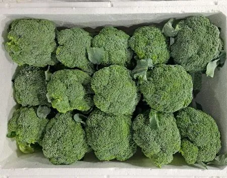 브로콜리(중국산)8kg/BOX