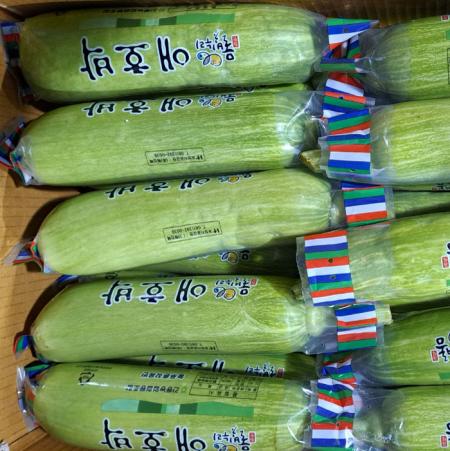 애호박(국내산)인큐 상품 못난이 20개/BOX