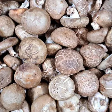 표고버섯(수입:2L) 4kg/BOX