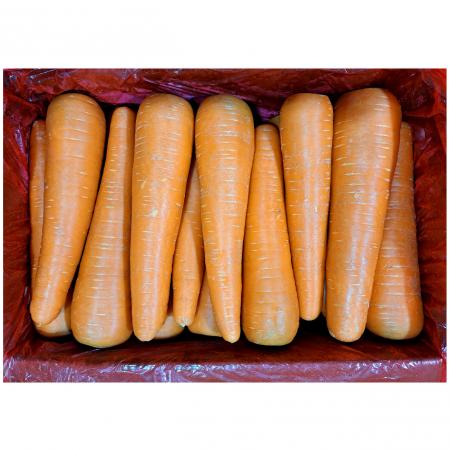 세척당근 10kg (2L) 수입산