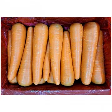 세척당근 10kg (2L) 수입산