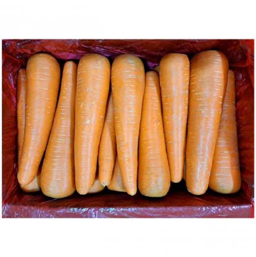 세척당근 10kg (2L) 수입산 이미지