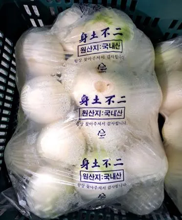 깐양파 국내산 10kg