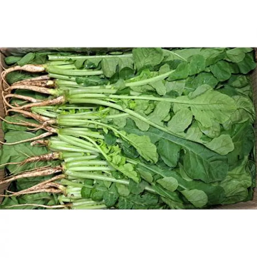 열무(국내산)4kg/BOX 이미지