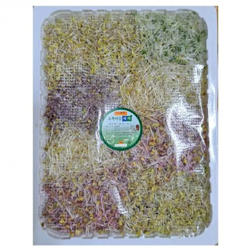 새싹채소 모듬 大 500g/1팩 이미지