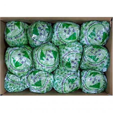 양상추(포장) 12수/BOX  수입산
