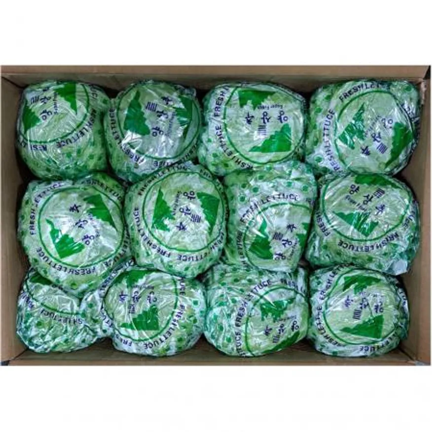 양상추(포장) 12수/BOX 수입산 이미지
