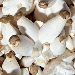 콩알새송이(총알:미니새송이) 2kg/ 팩 이미지