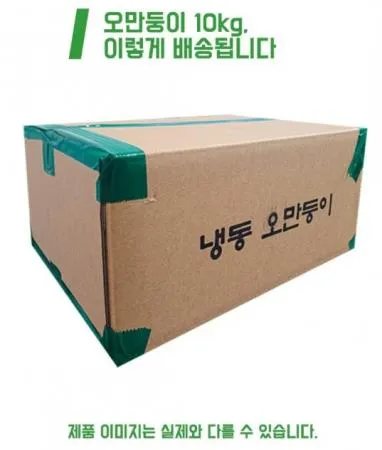 오만둥이 주름 미더덕 냉동 10kg 박스  [원산지:국산] 이미지