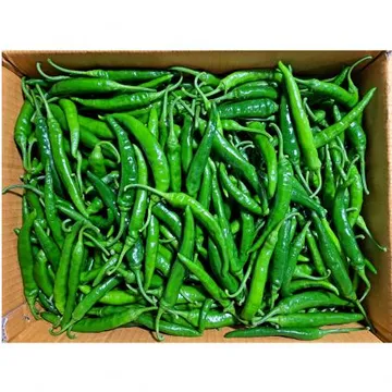 청양고추(국내산)특품 10kg/BOX