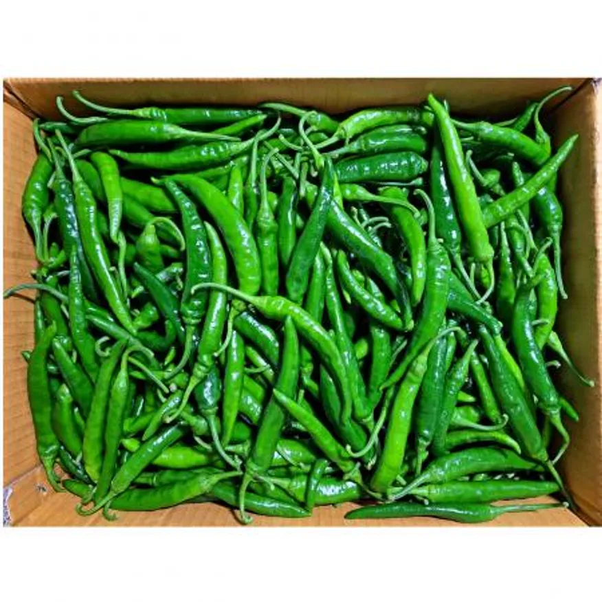 청양고추(국내산)특품 10kg/BOX 이미지