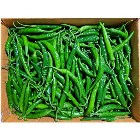 청양고추(국내산)특품 10kg/BOX