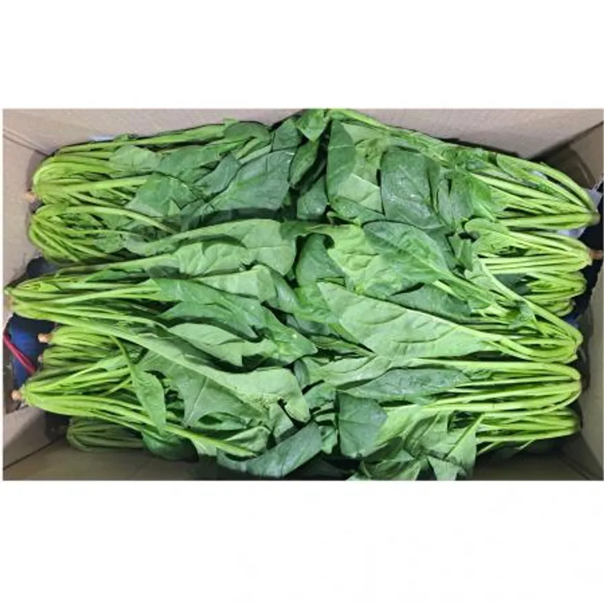 시금치(국내산)김밥용 4kg/BOX 이미지