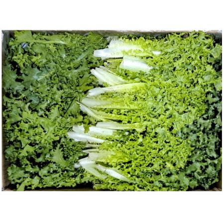 그린치커리(국내산)2kg/BOX