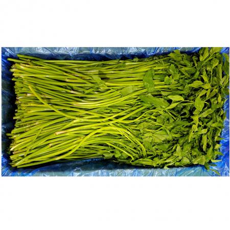 돌미나리(국내산)4kg/BOX