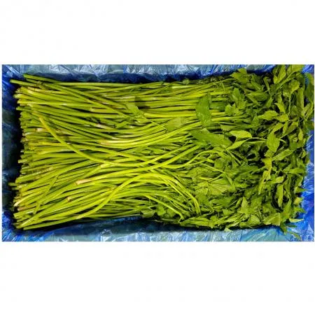 돌미나리(국내산)4kg/BOX