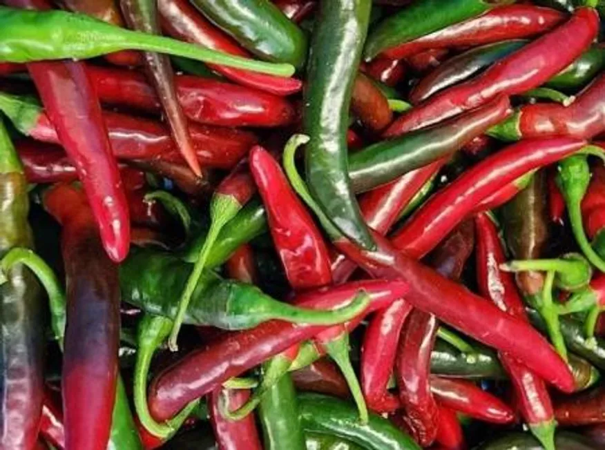 반불 청양고추 찌개용 (국내산) 10kg/BOX 이미지