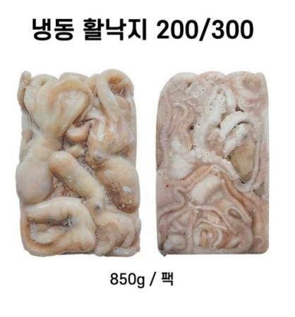 냉동 활낙지 통 4미(200/300) 850g*6팩/5.1kg 박스 [원산지:중국]