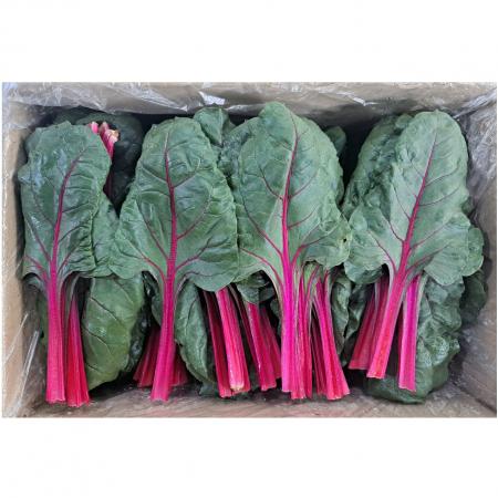 적근대(특품) 2kg/BOX