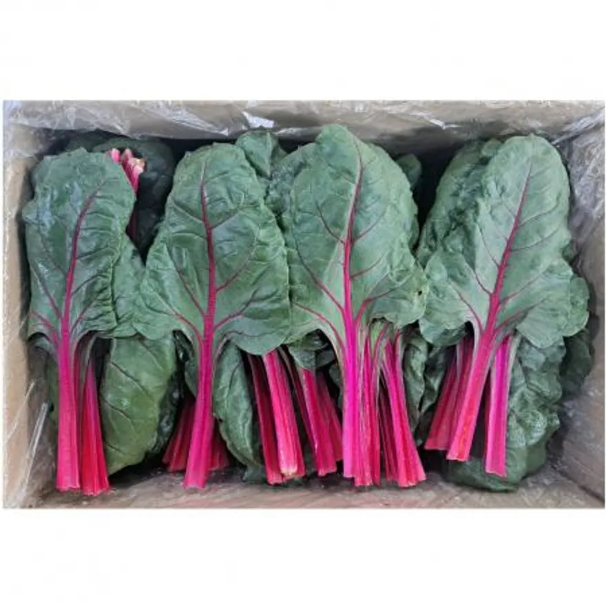 적근대(특품) 2kg/BOX 이미지