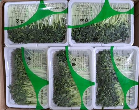 무순 (중) 160g  10팩/박스  국내산