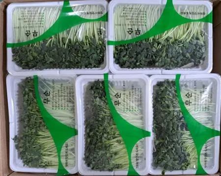 무순 (중) 160g  10팩/박스  국내산