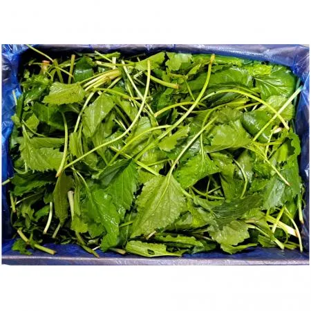 쫑취나물(국내산)4kg/BOX