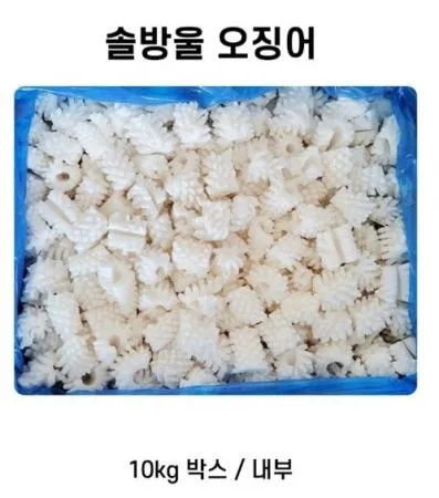 솔방울 오징어 칼집 벌집 A급 10kg 박스  [원산지:중국]