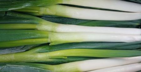 깐대파 손질대파  수입대파 10kg/박스  (중국산)