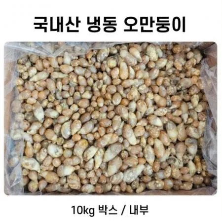 오만둥이 주름 미더덕 냉동 10kg 박스  [원산지:국산]
